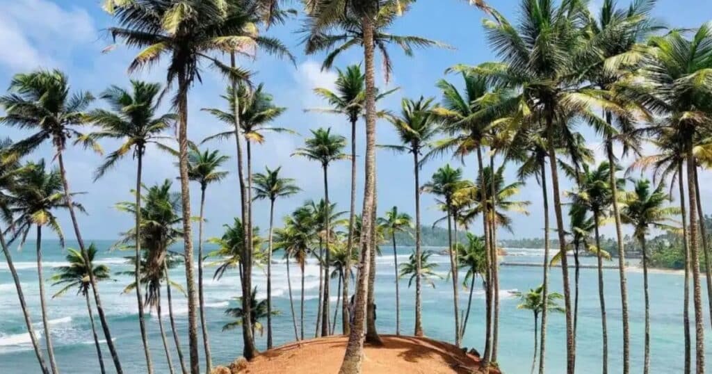 best things to do in Mirissa Sri Lanka