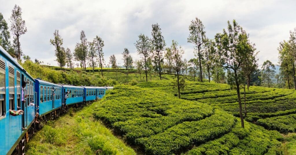 Scenic train ride in Ella Sri Lanka